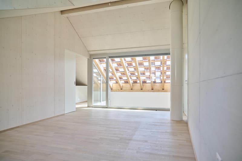Spacious living stylish single-family home near the village of Allschwil (2)