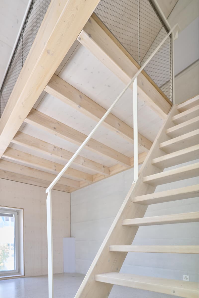Spacious living stylish single-family home near the village of Allschwil (6)