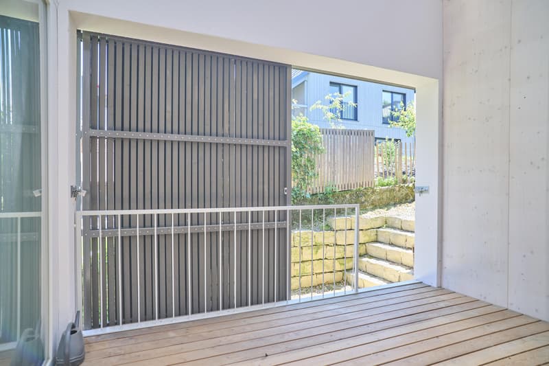 Spacious living stylish single-family home near the village of Allschwil (3)