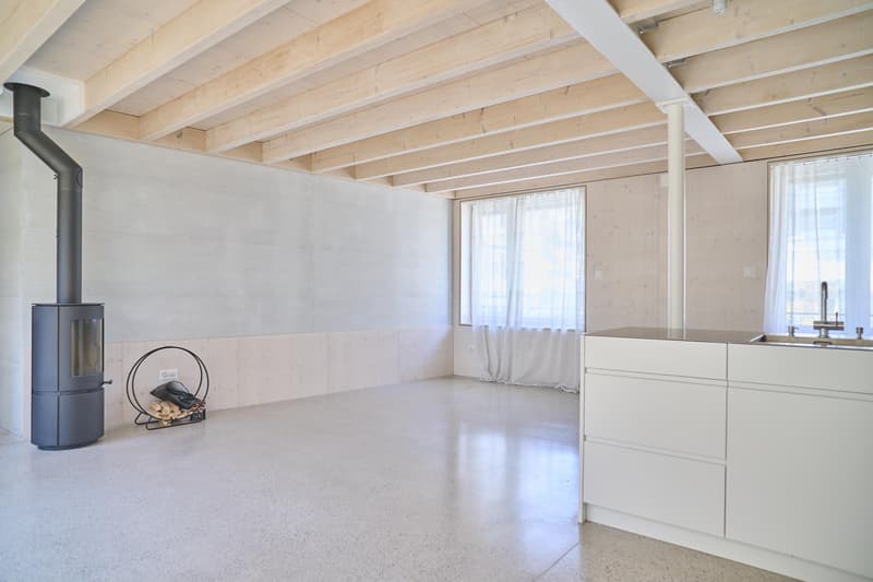Spacious living stylish single-family home near the village of Allschwil (4)