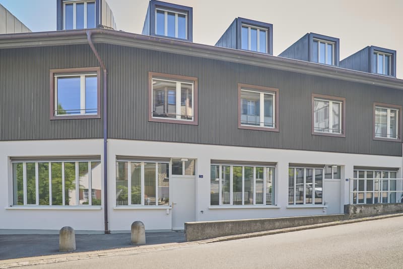 Spacious living stylish single-family home near the village of Allschwil (13)