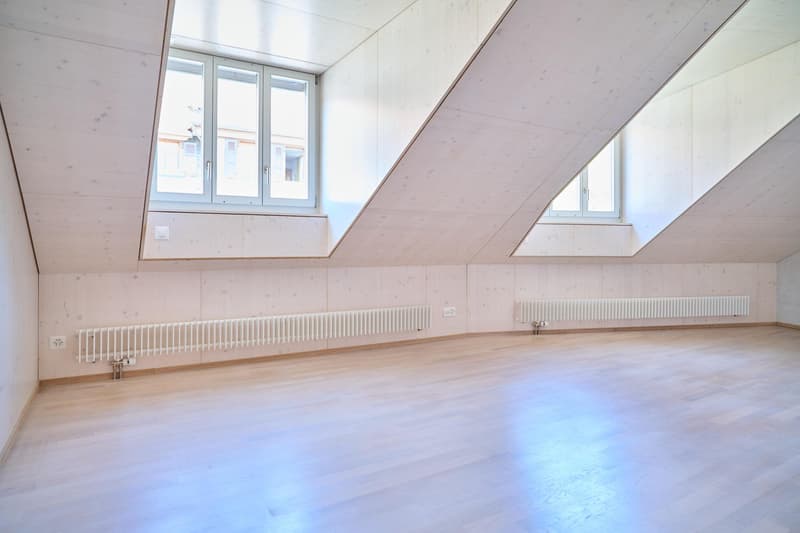 Viel Raum zum Leben  stilvolle Einfamilienhaus in Dorfnähe Allschwil (8)