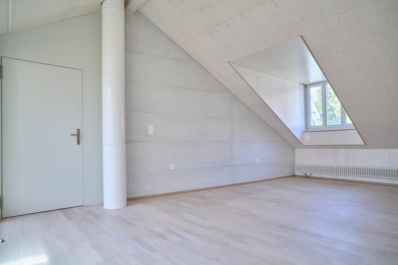 Spacious living stylish single-family home near the village of Allschwil (8)