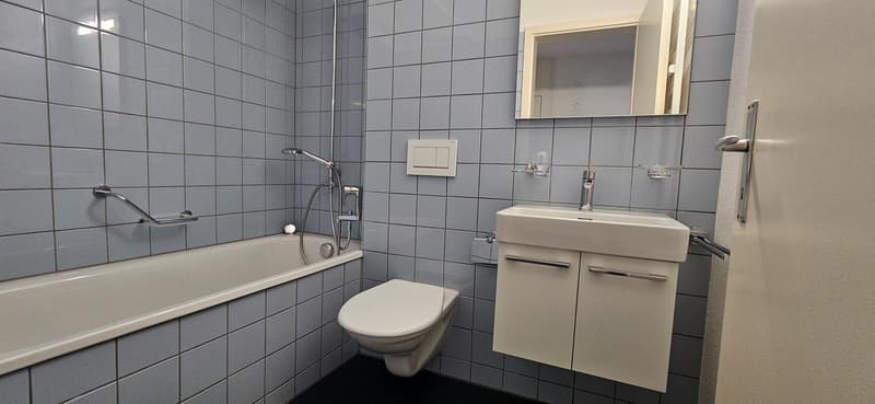 2.0 camere appartamento a Basilea (3)