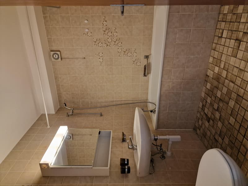 3.5 room apartment in Schönenbuch (2)