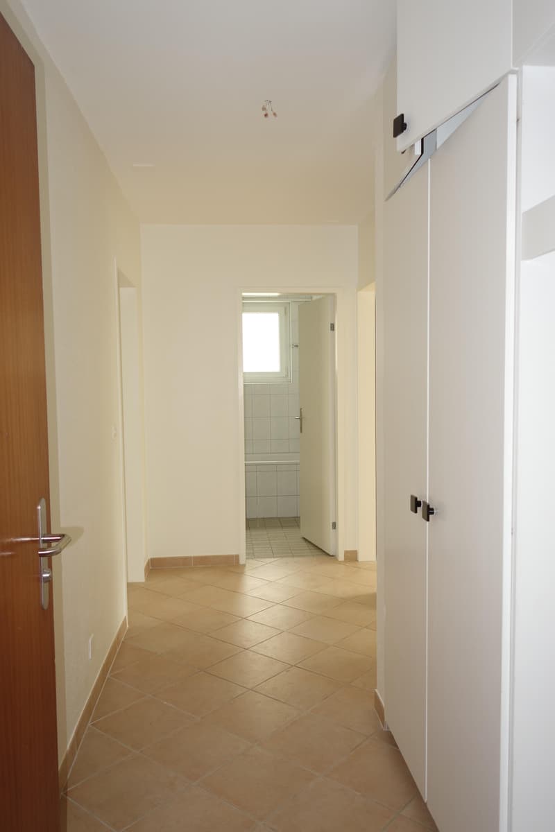 4.5 Zimmerwohnung in Reinach BL (1)