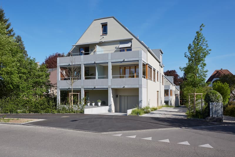 Parcheggio a Riehen (1)