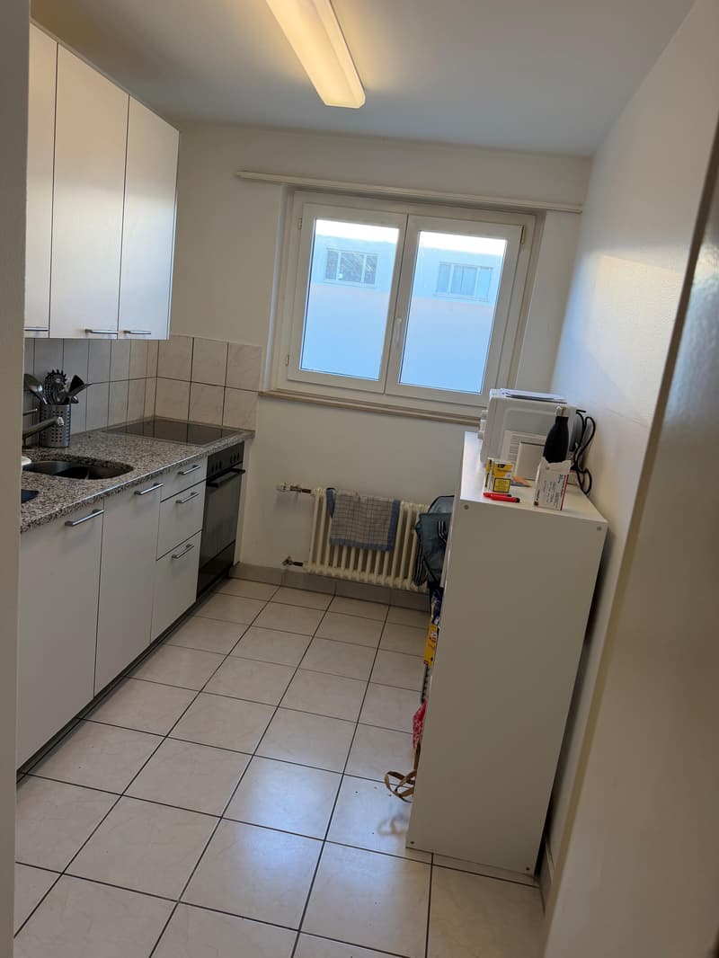 3.0 Zimmerwohnung in Pratteln (3)