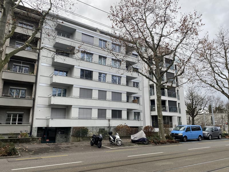 3.0 Zimmerwohnung in Basel (1)