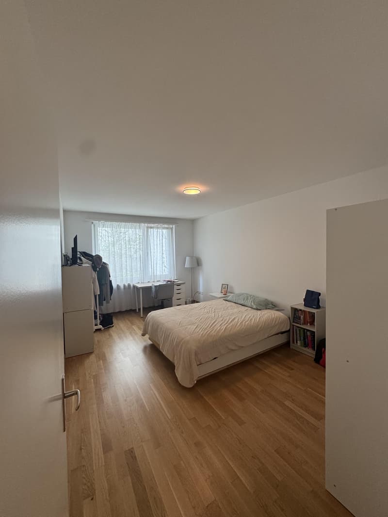 3.0 Zimmerwohnung in Basel (5)