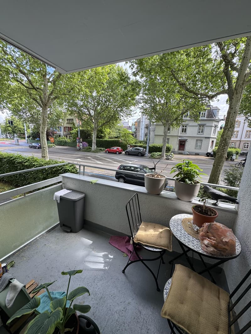 3.0 Zimmerwohnung in Basel (9)