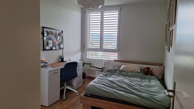 4.0 camere appartamento a Birsfelden (4)