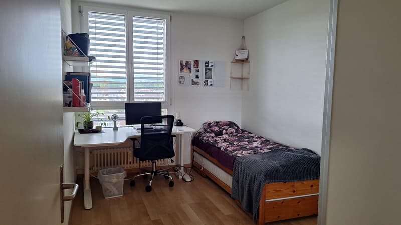 4.0 camere appartamento a Birsfelden (5)
