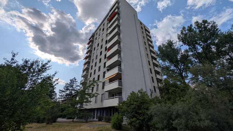 4.0 camere appartamento a Birsfelden (1)