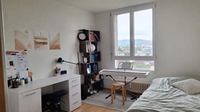 4.0 camere appartamento a Birsfelden (3)