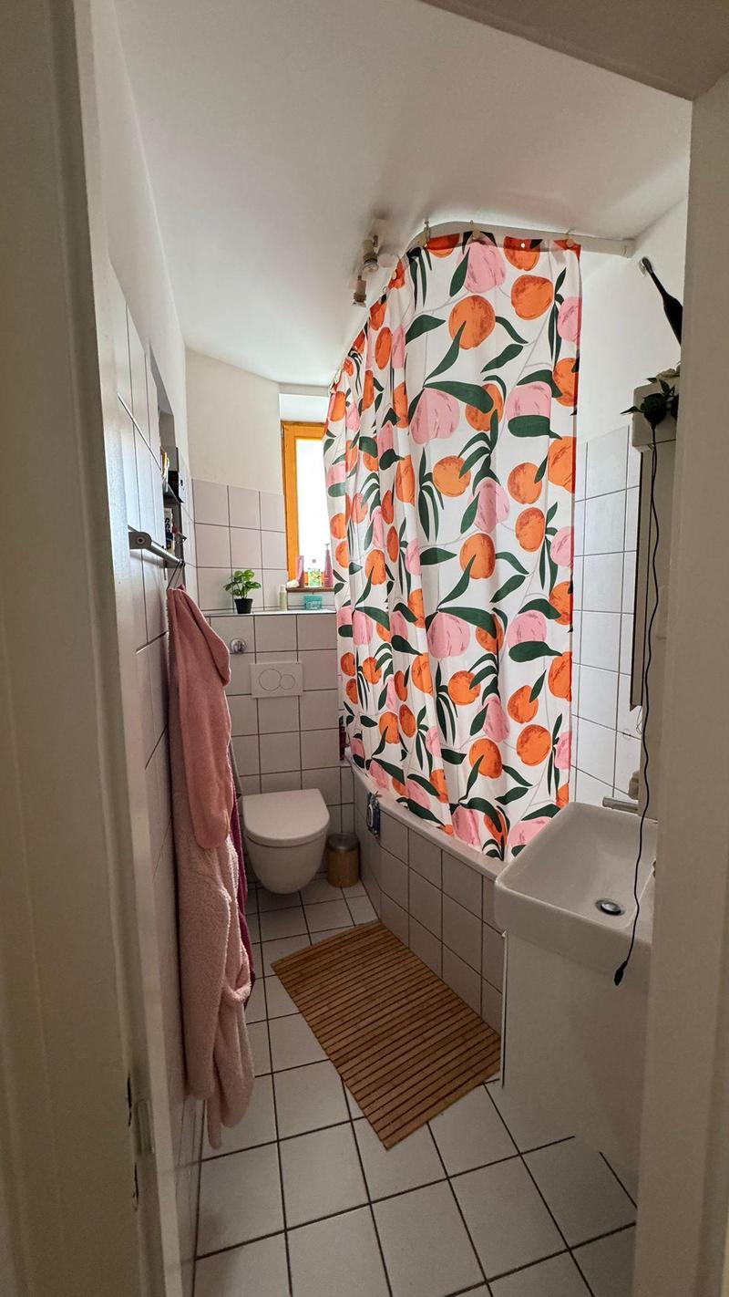 Appartamento di 4 camere a Basilea (10)