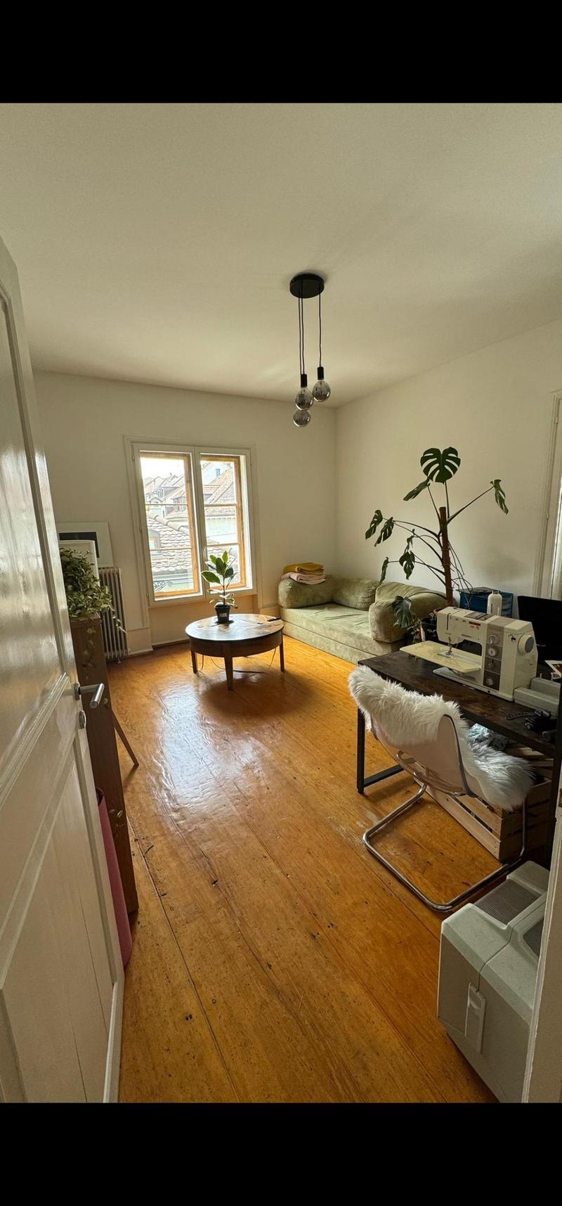 Appartamento di 4 camere a Basilea (3)