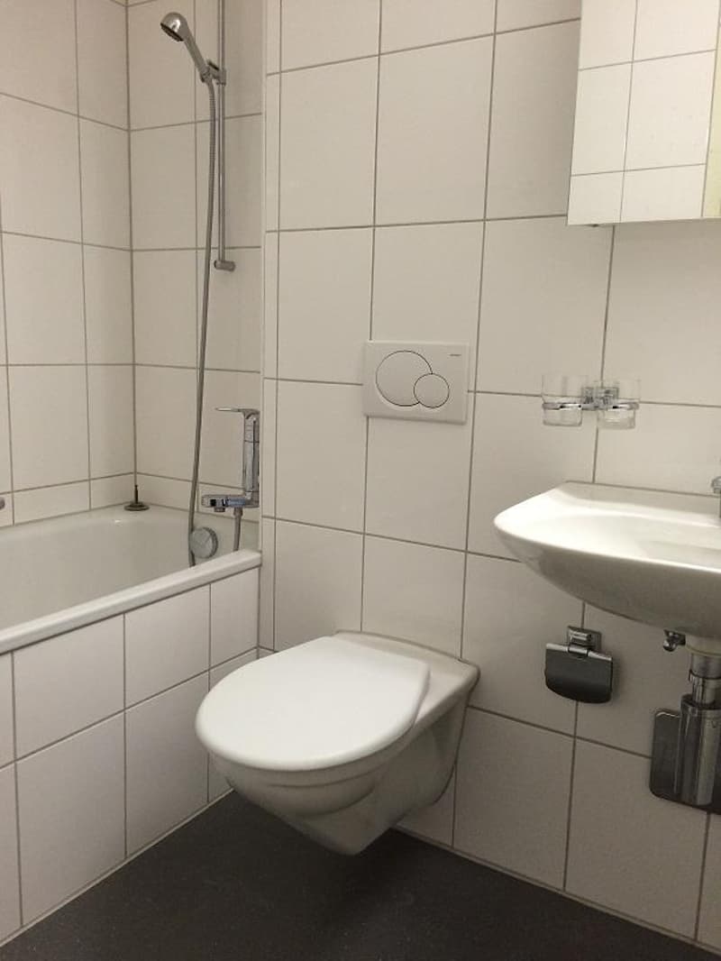 2.0 Zimmerwohnung in Pratteln (9)