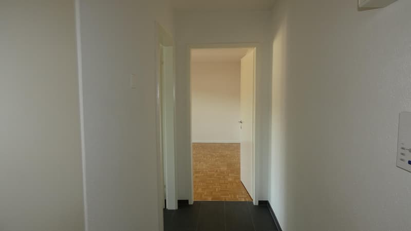 2.0 room apartment in Laufen (2)