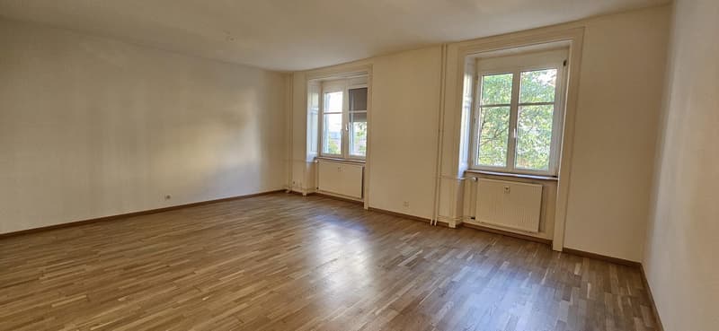 Charming 3.0 room apartment in Basel (4)