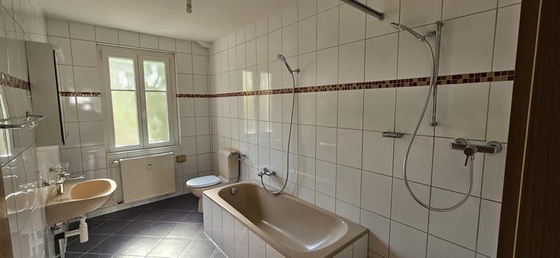 Charming 3.0 room apartment in Basel (2)