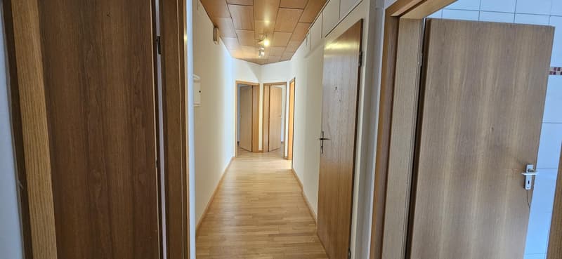 Charming 3.0 room apartment in Basel (1)