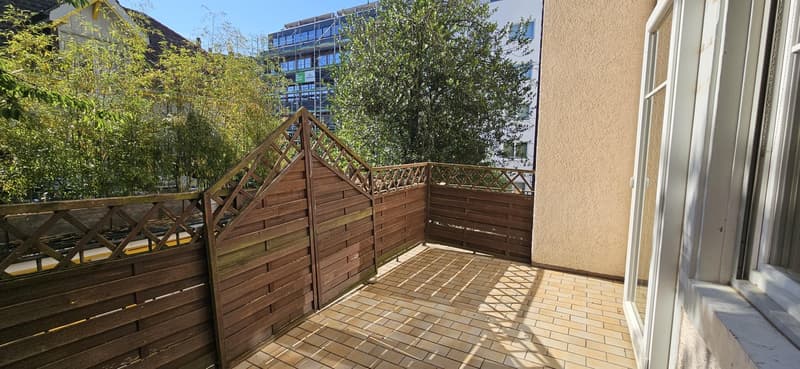 Charming 3.0 room apartment in Basel (7)