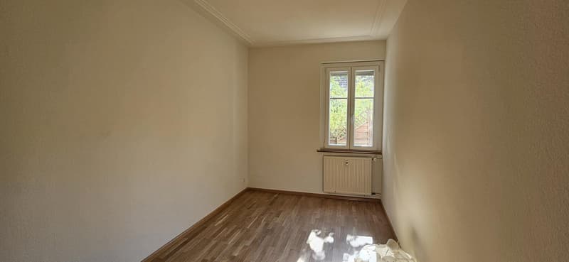 Charming 3.0 room apartment in Basel (5)