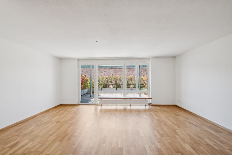 Appartement 5.5 pièces convivial pour les familles à Dulliken (2)