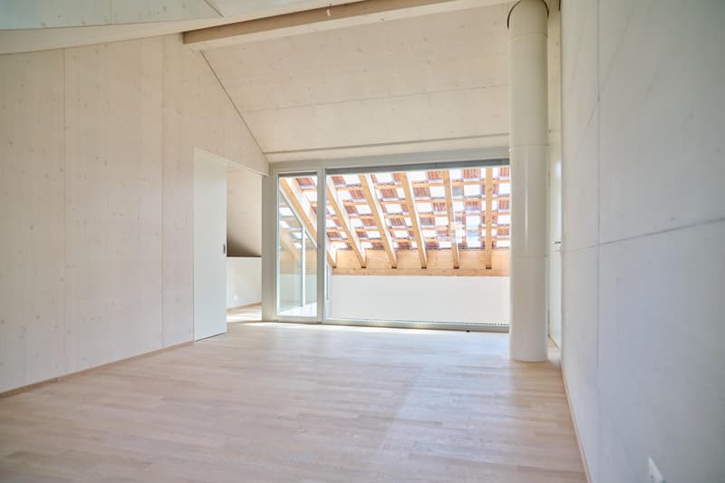 Ampio spazio per vivere. Casa unifamiliare elegante vicino al villaggio di Allschwil (6)