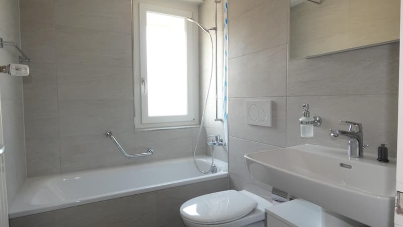 Appartement 2 pièces à Laufen (4)