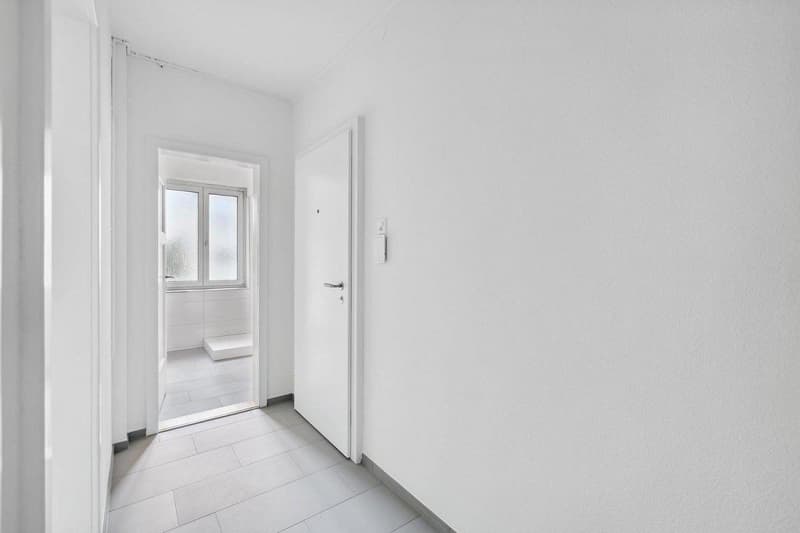 Appartamento 2 locali centrale a Basilea (5)