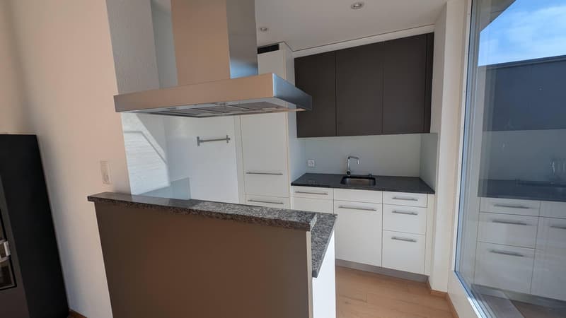 Living above the roofs, stylish loft apartment with large roof terrace! (6)