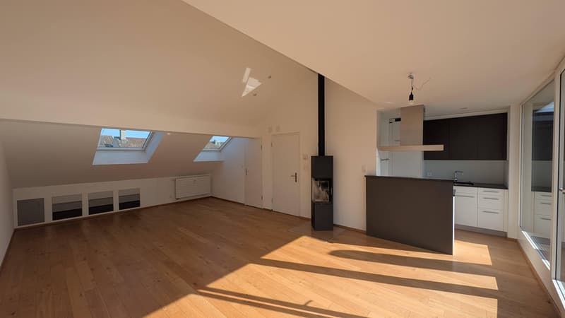 Living above the roofs, stylish loft apartment with large roof terrace! (4)