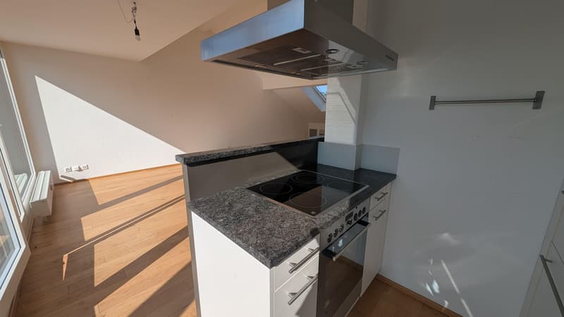 Living above the roofs, stylish loft apartment with large roof terrace! (7)