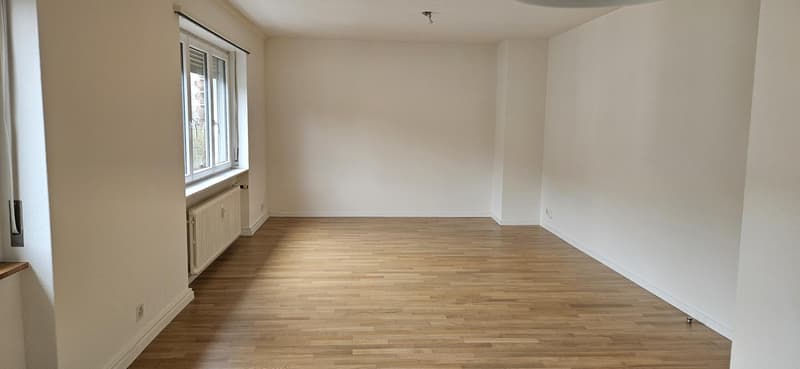 1.0 chambre à coucher dans un appartement à Bâle (3)