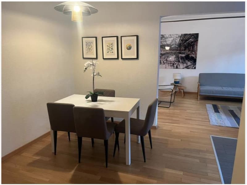 Appartement meublé de 2 pièces attractif à Zurich (5)