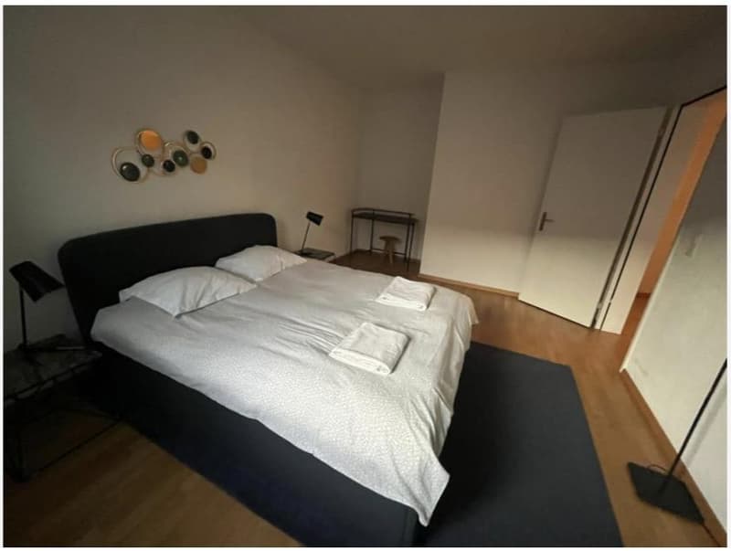 Appartement meublé de 2 pièces attractif à Zurich (6)