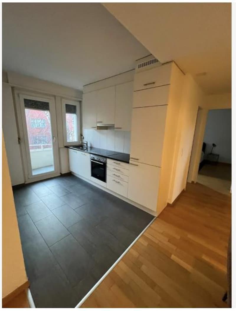 Appartement meublé de 2 pièces attractif à Zurich (1)