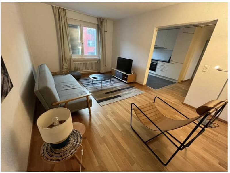 Appartement meublé de 2 pièces attractif à Zurich (3)