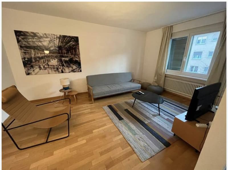 Appartement meublé de 2 pièces attractif à Zurich (4)
