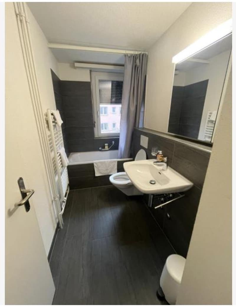 Appartement meublé de 2 pièces attractif à Zurich (7)