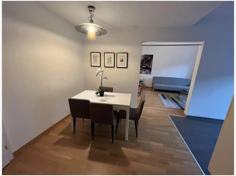 Appartement meublé de 2 pièces attractif à Zurich (2)