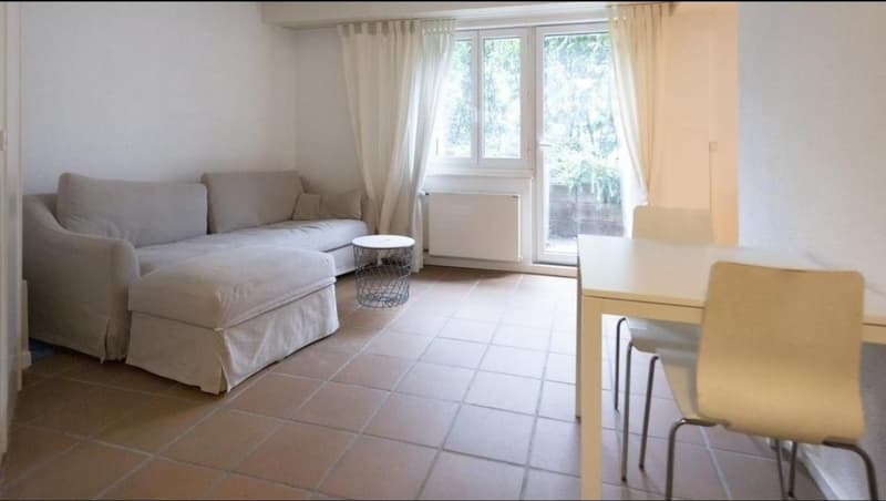 2.5 room apartment in Zurich (4)