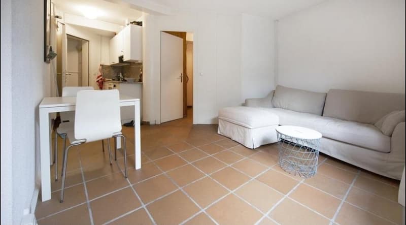 2.5 room apartment in Zurich (2)