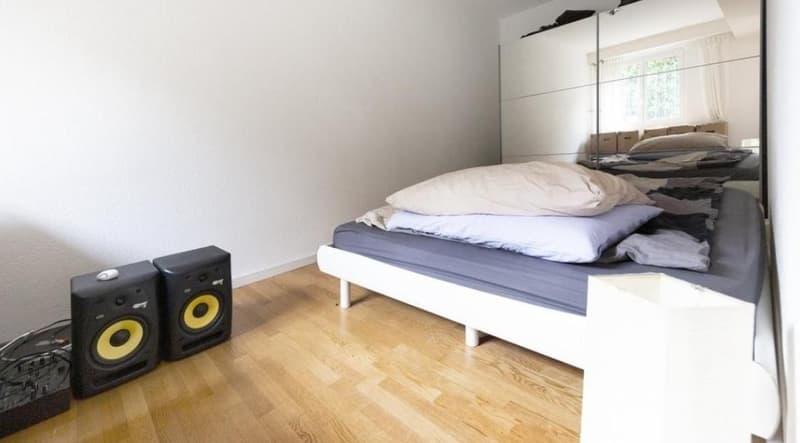 2.5 room apartment in Zurich (3)