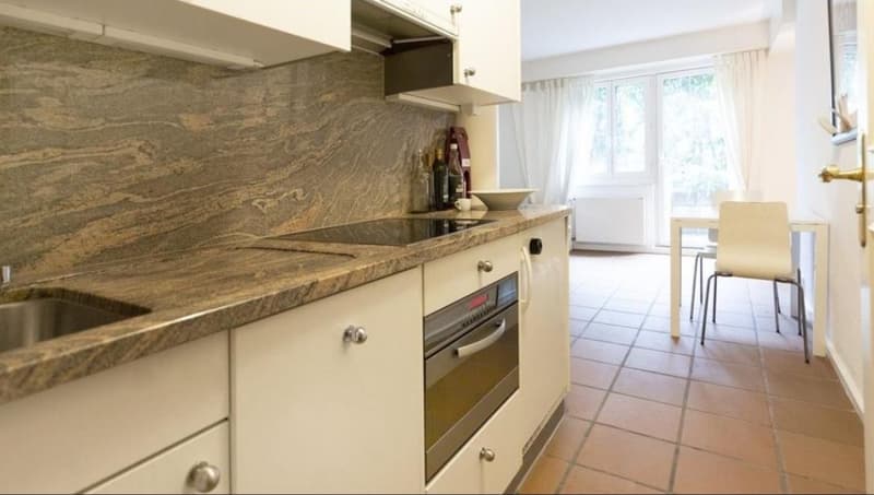 2.5 room apartment in Zurich (1)