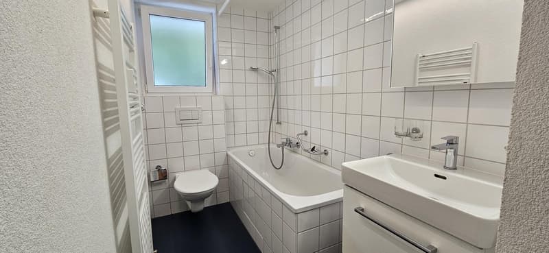 2.5 room apartment in Basel (5)