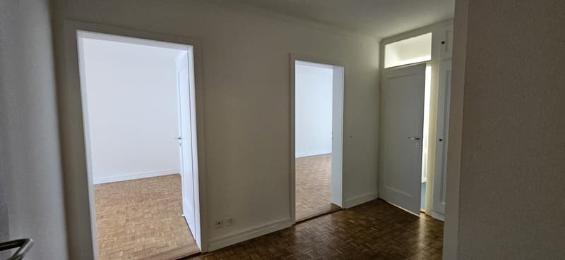 2.5 room apartment in Basel (2)