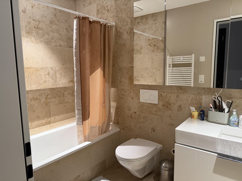 Appartamento 3.5 locali a Basilea (3)